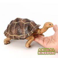 Animal Kingdom - โมเดล Turtle เต่า กาลาปากอส แดง ขนาด 21.00 CM (จากสงขลา)