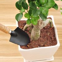 3 Pcsset Mini Spade Shovel Harrow Flowerpot Tools Durable Spade Shovel Rake for Plant Potted Flowers Potted Plants Maintenance Wooden Handle Plant Soil Shovels Gardening Tools