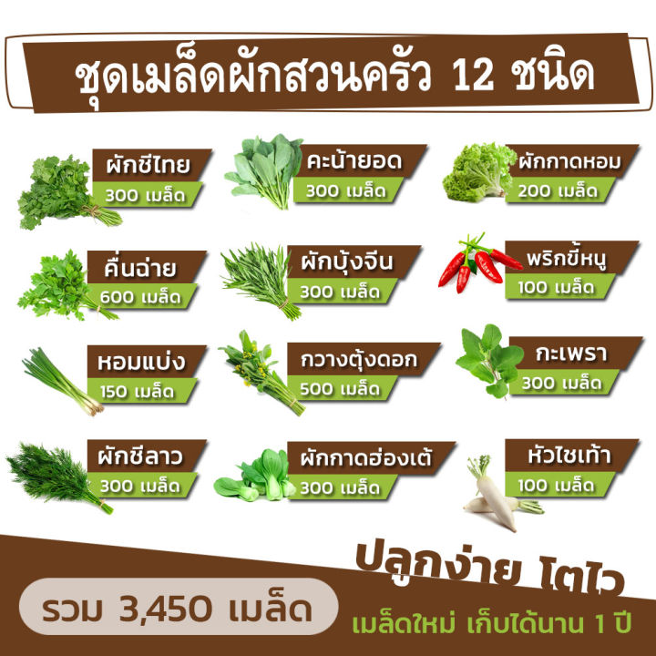 ชุดรวมเมล็ดผักสวนครัว-12-ชนิด-รวมกว่า-3450-เมล็ด-เมล็ดใหม่-อัตราการงอกสูง