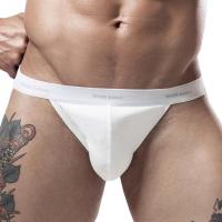 Mens Underwear Sexy Briefs  Men High Fork Panties Bikini Cotton Underpants Specially Male Sexy Panties Pipe Fittings Accessories