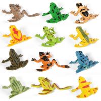 （A Decent） 12ชิ้น Spoomfrog FigurePlastic Strawcollectionfrogs ForGifts