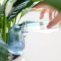 【CC】 2021 New Drip Sprayer Pot Garden Tools Transparent Lazy Watering Kettle Dripper Waterer