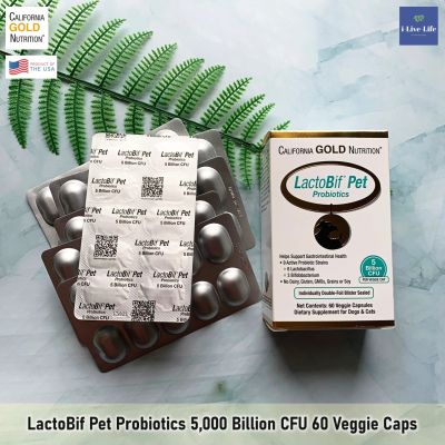 โปรไบโอติค สำหรับสุนัขและแมว LactoBif Pet Probiotics 5,000 Billion CFU 60 Veggie Caps - California Gold Nutrition