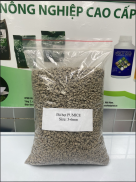 1KG Đá Bọt Núi Lửa Pumice Indonesia Giá Thể Trồng Lan, Bonsai, Hoa