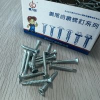 สกรูเกลียวปล่อยสกรู สแตนเลส ตะปู ตะปูตอก Flat Head Self Drilling Screw 1กล่อง500G มีประมาณ 200-300 ชิ้น พร้อมส่งในไทย