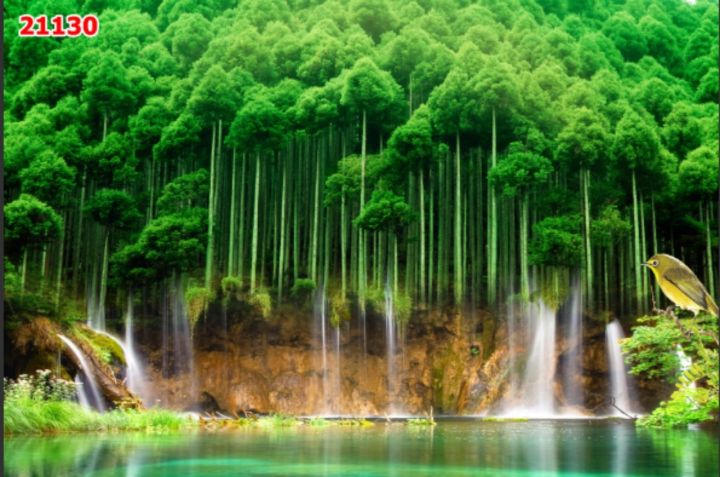 Tổng hợp với hơn 106 hình nền rừng trúc tuyệt vời nhất  Tin học Đông Hòa