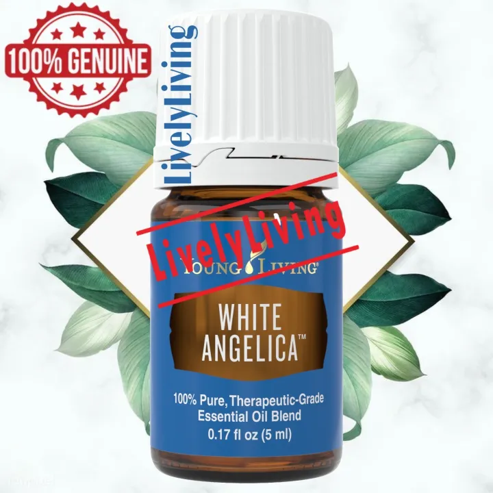 YL White Angelica Essential Oil (5ml) Lazada