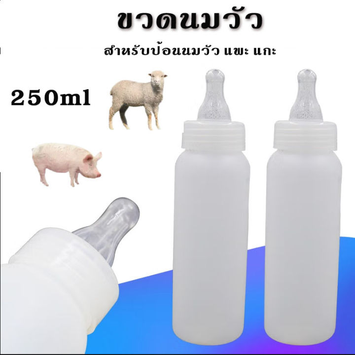 ขวดนม-พร้อมจุก-ขวดนมแพะ-ขวดนมวัว-จุกนมวัว-สำหรับป้อนนม-ขวดนมขาว-ขวดป้อนนม