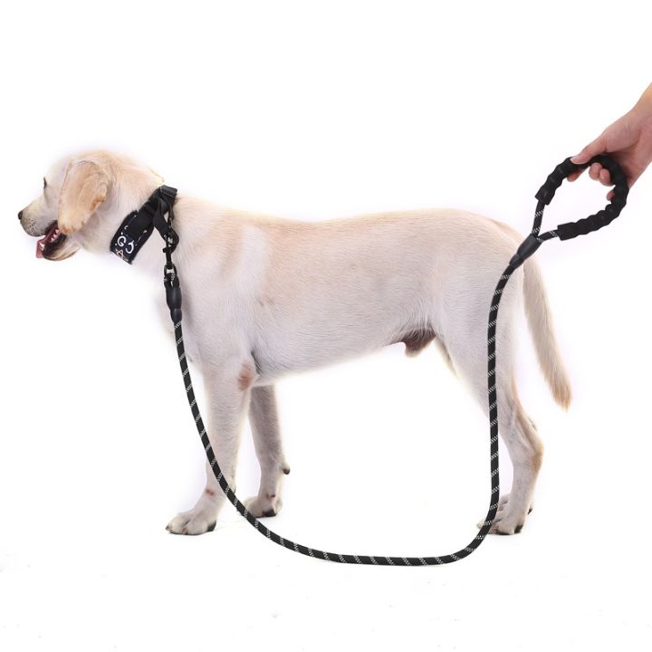 lz-tc015mtnw727-pet-leash-reflective-strong-dog-leash-long-with-comfortable-padded-handle-heavy-duty-training-pet-dog-walking-nylon-rope-leashes