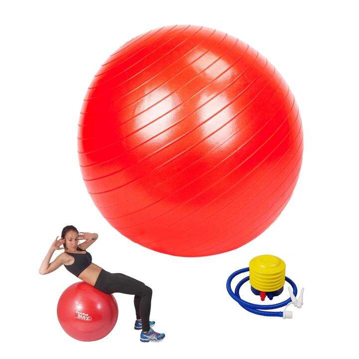55cm Fitness Gym Ball Exercise Lazada PH