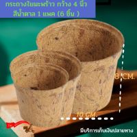 [แพ็ค 6 ชิ้น] #กระะถางใยมะพร้าว กระถางรักษ์โลก 4 นิ้ว สีน้ำตาล พร้อมจัดส่ง มีบริการเก็บเงินปลายทาง