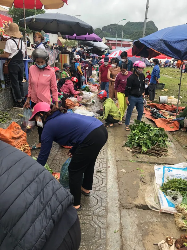 Cao nguyên Sìn Hồ - Vẻ đẹp hoang sơ của núi rừng Tây Bắc