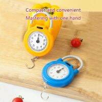 10kg Portable Mechanical Scale for Kitchen Household Multi-Use Digital Pointer Stype Mini Food Weights with Hook Wholesale Luggage Scales