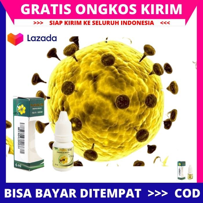 Obat Lipoma Obat Oles Untuk Penyakit Lipoma Obat Herbal Benjolan Lipoma ...