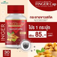 FINGER CAP กระชายขาวสกัด ผสมมะขามป้อม บรรจุแคปซูล (ฟีงเกอะ แคป) 1 กระปุก ปริมาณ 30 แคปซูล