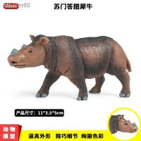 ? ของขวัญ Childrens simulation model of static solid wildlife sumatran rhino toy hippo animal furnishing articles