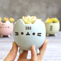 【CC】 Succulent Pot with Hole Flowerpot Little Garden Bonsai Pots Birthday