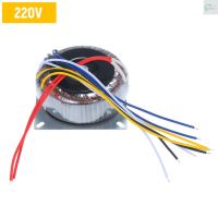 Zone 200 W Toroidal หม้อแปลงทองแดง Single Phase One - Phase 220 V To Ac 12v / 28v