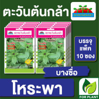 ผักซอง ตะวันต้นกล้า SP เมล็ดพันธุ์ พันธุ์ผัก โหระพา บางซื่อ บรรจุแพคล่ะ 10 ซอง ราคา 64 บาท