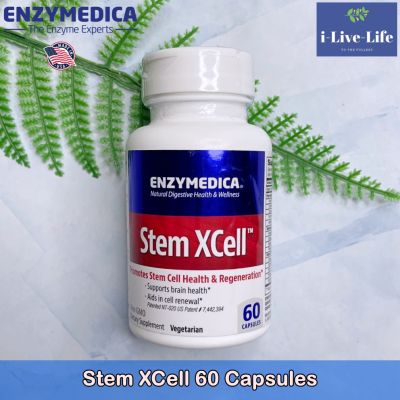 อาหารเสริม สเต็มเซลล์ สนับสนุนการสร้างเซลล์ใหม่ Stem XCell 60 Capsules - Enzymedica