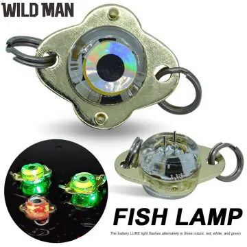 Shop Fish Light Attractor with great discounts and prices online - Feb 2024