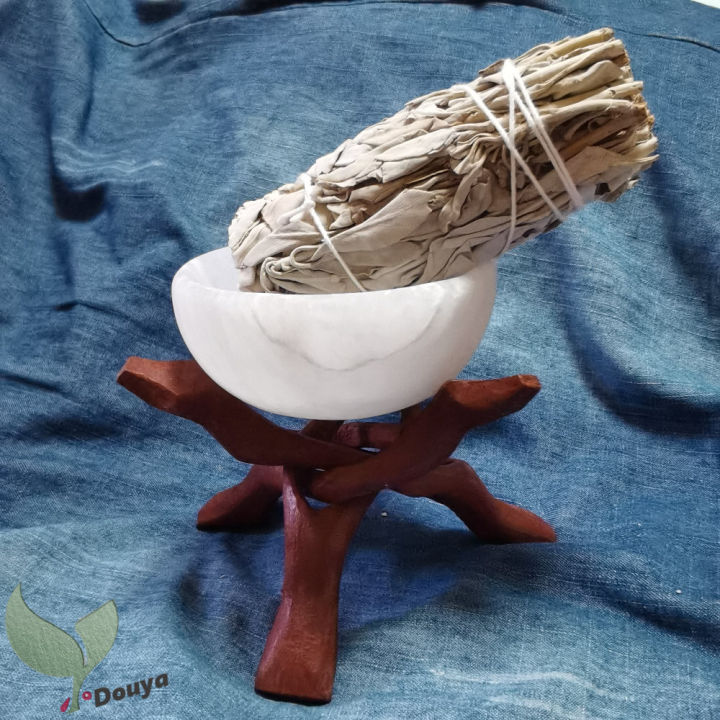 Smudging Kit - Sage Smudge Kit - White Sage Smudge Sticks for Cleansing - White  Sage and Palo Santo Sticks - selenite bowl for Smudging - Sage for Cleansing  Negative Energy