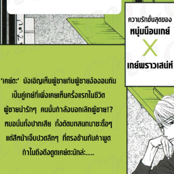 การ์ตูนวาย-c2-แมวจรจัดไม่รู้จักความรัก