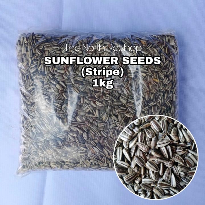 Raw Sunflower Seeds 1kg pack for bird Lazada PH