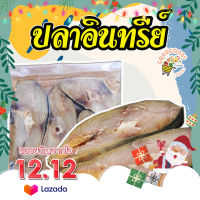 เก็บเงินปลายทาง ปลาอินทรีย์หอม​ๆ  เนื้ออร่อย​ สดใหม่  ราคาหลักร้อย ปลาอินทรี ปลาอินทรีย์