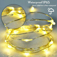 1M 5M USB Twinkle LED String Fairy Waterpoor Lights With Remote Copper Wire Party Christmas Garden Holiday Decor Happy New Year