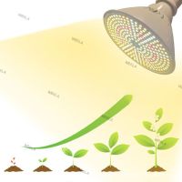 Full Spectrum 12W 290 LED Plant Grow Light Bulb Greenhouse Sunlight Phyto Lamp Vegetable Flower Cultivo Indoor Grow Box 6TH