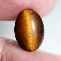 5.05 ct ไทเกอร์ อาย (Unheated Tigers Eye) ทรงไข่หลังเบี้ย