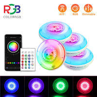 (4PCS)ColorRGB, Pond lights , 15 LEDs Pool Led lights, IP68 Waterproof underwater ,Submersible Led Lights for Inground Pools APP