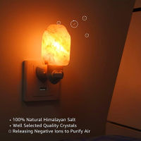 Night Light Himalayan Warm white Salt Lamp Natural Crystal Hand Carved Home Decor Air Purifying with Plug Release negative ions