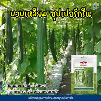 เมล็ดบวบเหลี่ยม ลูกผสม ซุปเปอร์กรีน ตราศรแดง Ridge Gourd เมล็ดพันธุ์บวบเหลี่ยม เมล็ดพันธุ์ผัก เมล็ดผักสวนครัว