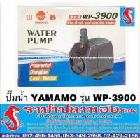 ( Promotion ) สุดคุ้ม ปั๊มน้ำ YAMANO รุ่น WP-3900 ราคาถูก ปั๊ม น้ำ ตู้ ปลา