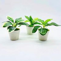 3PC Mini Artificial Plant Greenery In Pot For Home Wedding Party Decoration Office Table Decoration Garden Outdoor Indoor Decoration