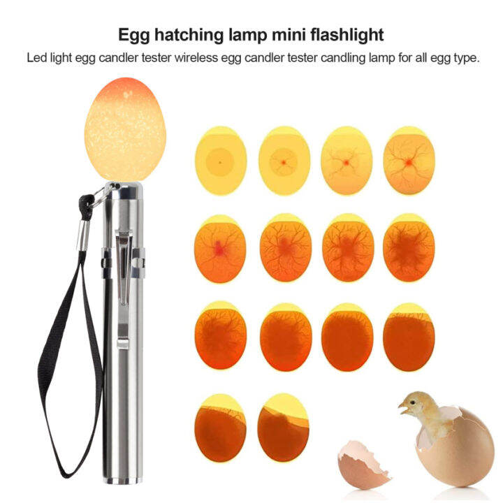 Egg Candler Tester, Bright Cool LED Light Candling Lamp For All Chicken