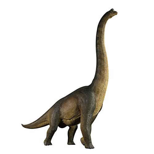 Realistic Dinosaur Figure Brachiosaurus 11" NWT 