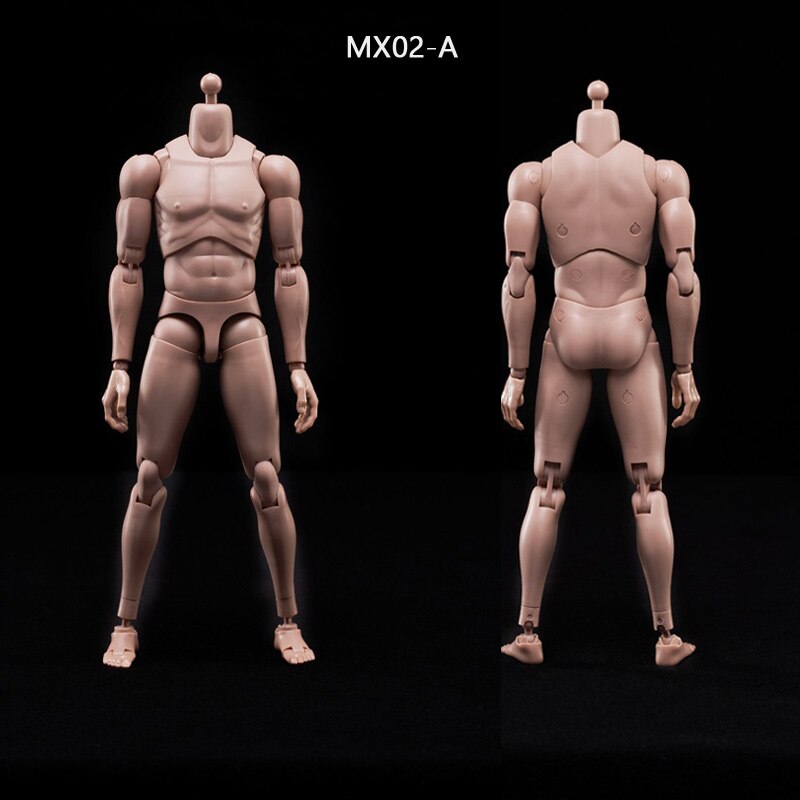 1/6 Action Figure Muscle Nude Body Model Toy Combat Per TTM-18/19 
