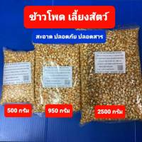 ข้าวโพดเลี้ยงสัตว์ ข้าวโพดเม็ด สะอาด ปลอดภัย ไม่มีสารตกค้าง อาหารนก อาหารไก่ ขนาดบรรจุ 500กรัม-950กรัม-2500กรัม