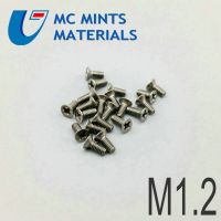 M1.2 M1.4 m1.6 M2 m2.5 m3 x2 6mm Ti Bolt Titanium Bolt Flat Cross Head Original Not Polished Grade 2 Titanium Screw Ti Fastener