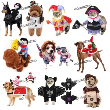 Chucky Dog Costume - Best Price in Singapore - Mar 2024