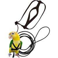 （PAPI PET）แฟชั่น Anti Bite Bird Harness Leash ชุด Parrot Harness เชือกปรับการออกแบบการฝึกอบรมการบินเหมาะสำหรับ Parrot Conures Bird