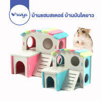 SARIYA บ้านแฮมสเตอร์ บ้านบันไดยาว (HA03) ของเล่นแฮมเตอร์ Hamster House