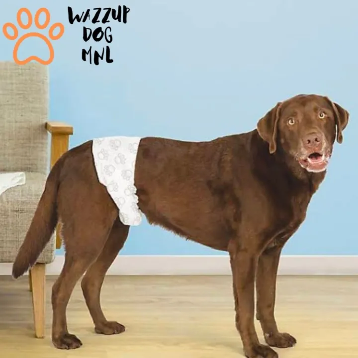 Pet Disposable Diaper For Male Dogs and Puppies Per Piece S/M/L Lazada PH