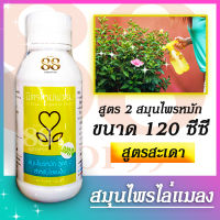 สมุนไพรไล่แมลงสูตรสะเดา 120 ซีซี. Sadao Herb สมุนไพรหมัก สูตร 2 สำหรับไล่แมลง ใช้สำหรับไล่แมลงศัตรูพืช ทำให้พืชแข็งแรง เจริญเติบโตได้ดี