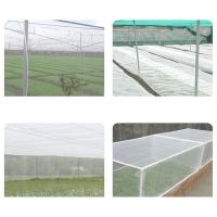 【CW】 Greenhouse Net 60mesh Fruit Vegetables Cover Insect Garden Pest Potection