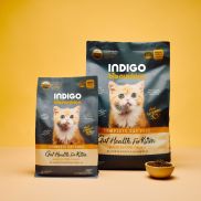 Hạt cho mèo bổ Sung Probiotic Indigo Kitten & Gut Health