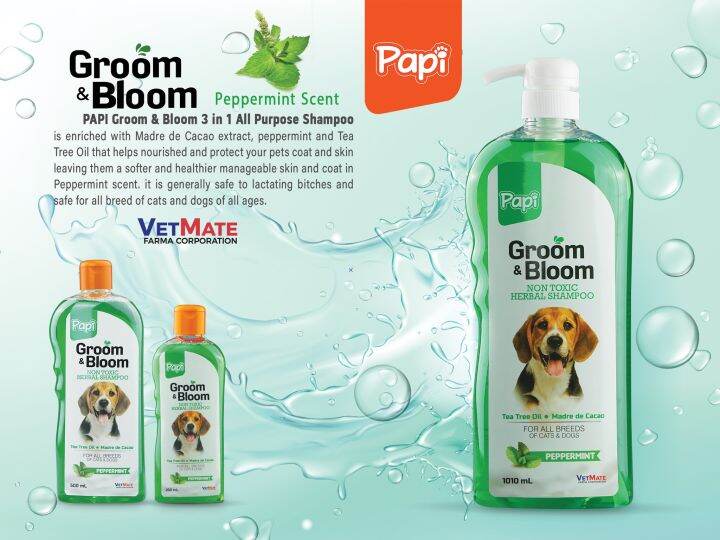Papi Gloom & Bloom 3in1 All Purpose Shampoo 250mL Peppermint Lazada PH